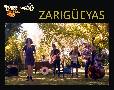 Zariguellas